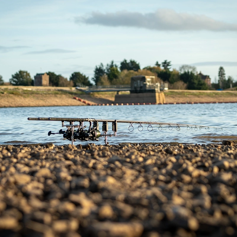 Daiwa Black Widow + Carp Rods